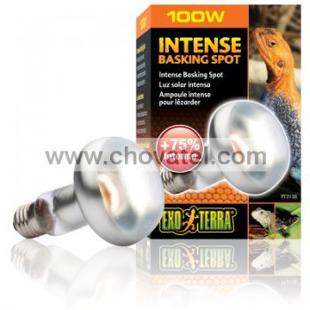 Žárovka EXO TERRA Intense Basking Spot 100W