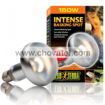 Žárovka EXO TERRA Intense Basking Spot 150W
