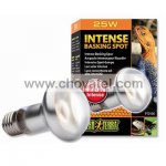 Žárovka EXO TERRA Intense Basking Spot 25W