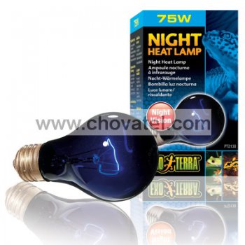 Žárovka EXO TERRA Night Heat 75W