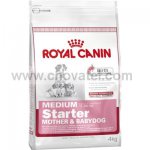 Royal Canin SHN Medium Starter MB 1kg