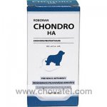 Roboran Chondro HA pro psy 100tbl.