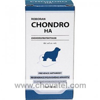 Roboran Chondro HA pro psy 100tbl.