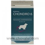 Roboran Chondro 6 pro psy 60tbl.