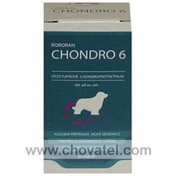 Roboran Chondro 6 pro psy 60tbl.