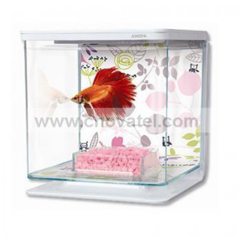Akvárium MARINA Betta Kit Floral 2l