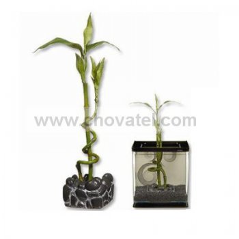 Dekorace MARINA Betta Kit Bamboo ornament 1ks