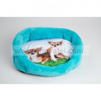 Polštář ovál textil Foto Čivava 60cm + Korpus 8 hran modrý 65cm