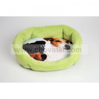 Polštář ovál textil Foto Jack Russel 60cm + Korpus 8 hran zelený