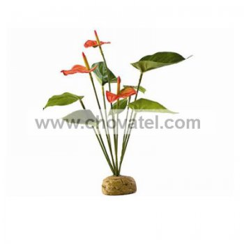Rostlina ExoTerra Anthurium Bush