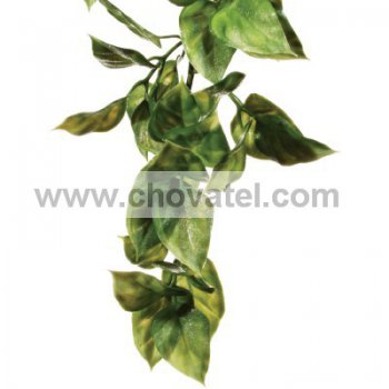 Rostlina EXO TERRA Amapallo malá 32 cm