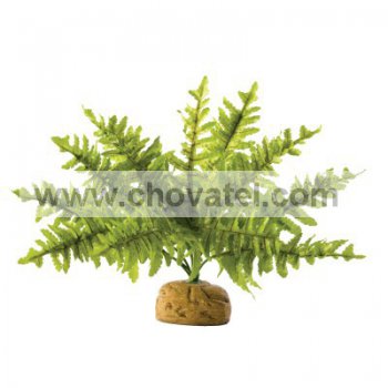 Rostlina EXO TERRA Boston Fern malý