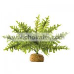 Rostlina EXO TERRA Boston Fern střední