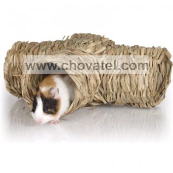 Tunel travní T