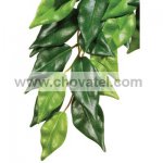 Rostlina EXO TERRA Ficus velká 70 cm