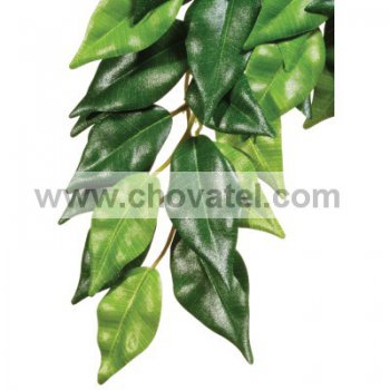 Rostlina EXO TERRA Ficus velká 70 cm