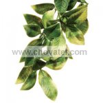 Rostlina EXO TERRA Mandarin malá 30 cm