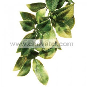 Rostlina EXO TERRA Mandarin malá 30 cm