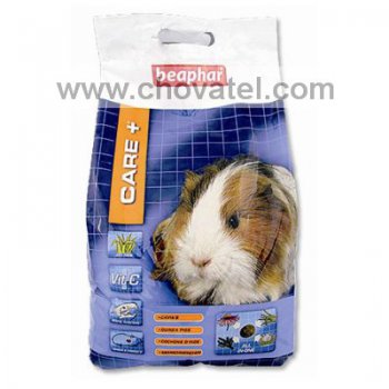 CARE+ Morče 5Kg AKCE TÝDNE
