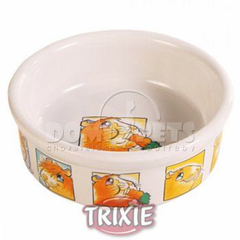 Porcelánová miska morče