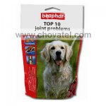 Pochoutka Joint Problems 150g