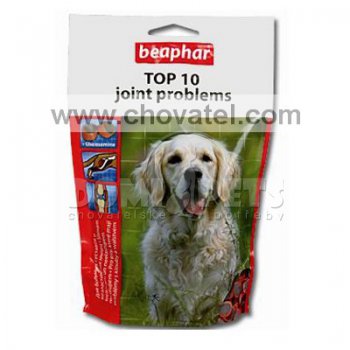 Pochoutka Joint Problems 150g