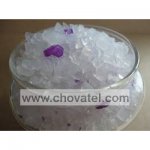Elegant Cat levandule 16l