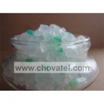 Elegant Cat menthol 16l