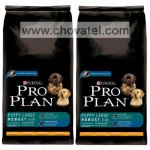 Purina Pro Plan Puppy Large Robust Chicken+Rice 2 x 14kg
