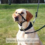Top Trainer výcviková ohlávka M 27cm