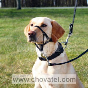 Top Trainer výcviková ohlávka M 27cm