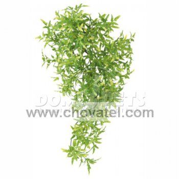 Plastová rostlina 10x30cm CROTON Trixie
