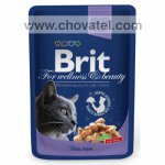 Brit Premium Cat kapsa with Cod & Fish 100g