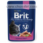 Brit Premium Cat kapsa with Salmon & Trout 100g