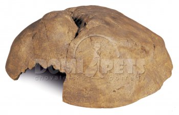Jeskyně Reptile Cave extra velká