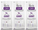 Brit Care Grain-free Giant Salmon & Potato 3 x 12kg