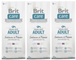 Brit Care Grain-free Adult Salmon & Potato 3 x 12kg