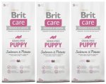 Brit Care Grain-free Puppy Salmon & Potato 3 x 12kg