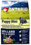 Ontario Puppy Mini Lamb & Rice 2,25kg