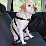Postroj do auta pro psa M 50-70cm TRIXIE