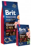 Brit Premium Dog Nature Adult L 15kg